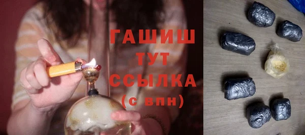 крисы Надым
