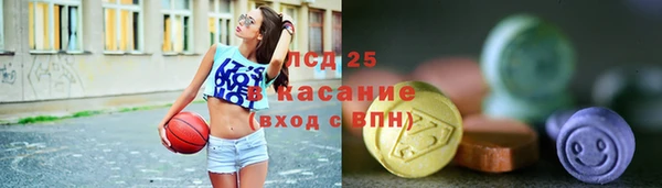 крисы Надым