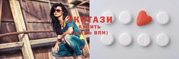 крисы Надым