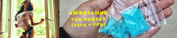 крисы Надым