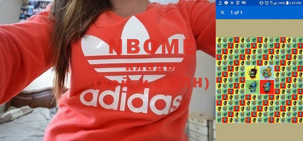 крисы Надым