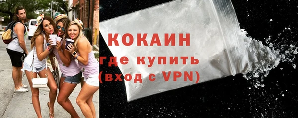крисы Надым