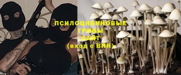 крисы Надым
