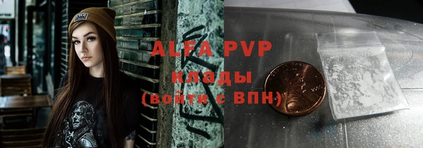 крисы Надым