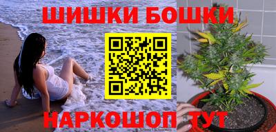 сатива Шахты