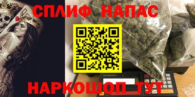 сатива Шахты