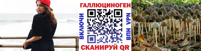 Псилоцибиновые грибы ЛСД  ОМГ ОМГ маркетплейс  Переславль-Залесский 