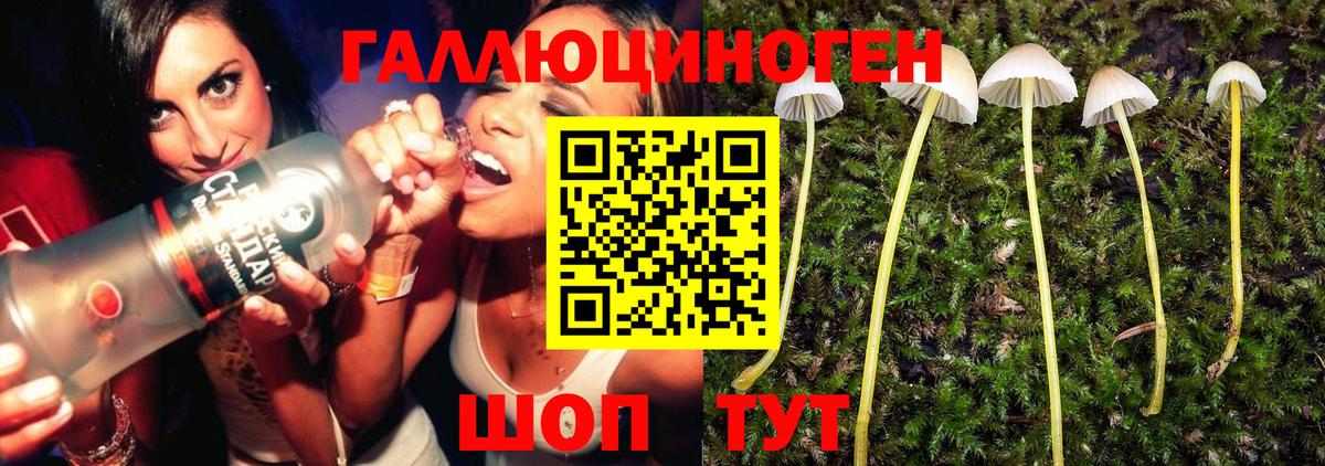 Псилоцибиновые грибы Cubensis  Галлюциногенные грибы ЛСД  Вход с VPN  Переславль-Залесский 